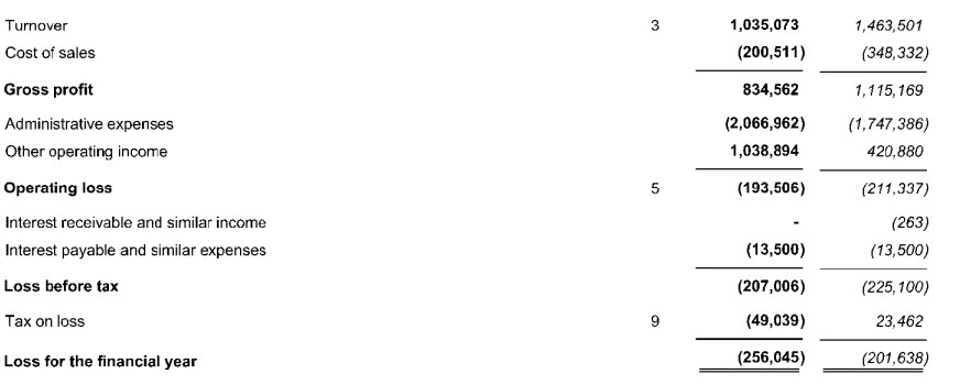 “粽”享六一 传承中华优秀文化