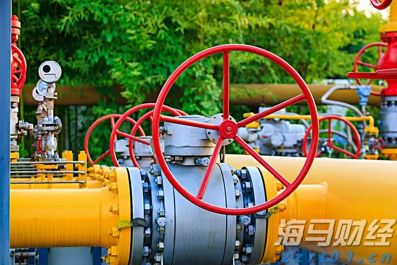 特斯拉(TSLA.US)授予马斯克300亿美元临时股票奖励以留住人才