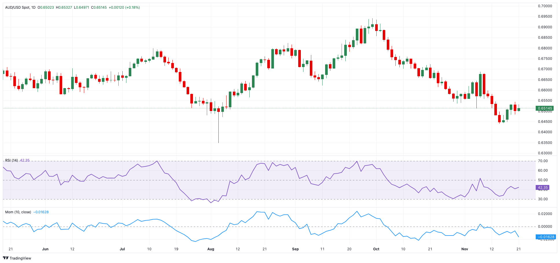 以“档案视角”讲好雷州故事